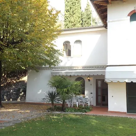 Cipressi